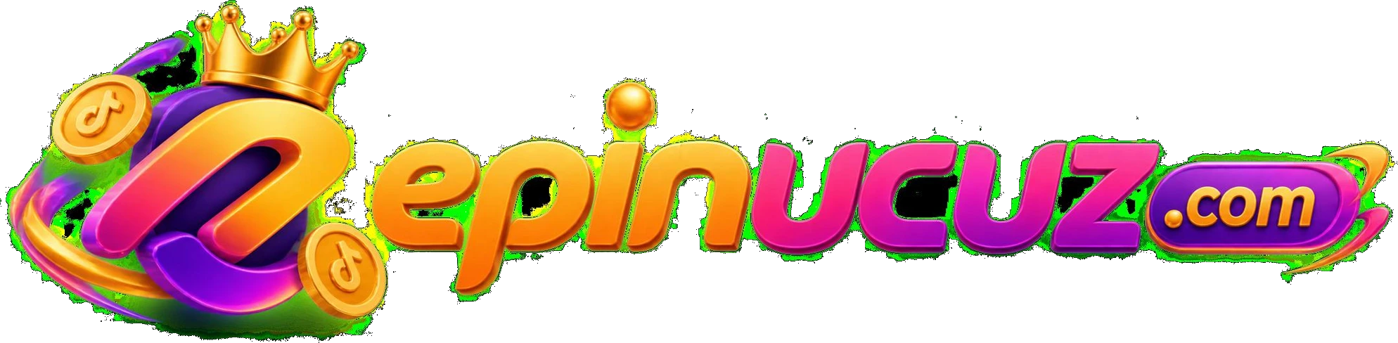 Epinucuz Footer Logo